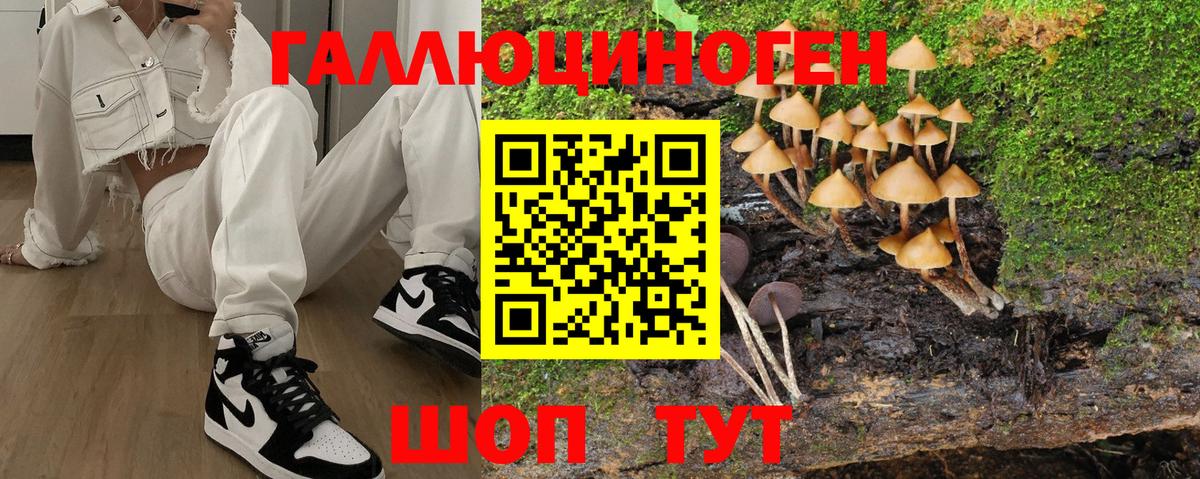 Псилоцибиновые грибы мицелий Протвино